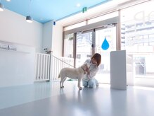 マイボディルームイチマルイチ(MY BODY ROOM 101)/