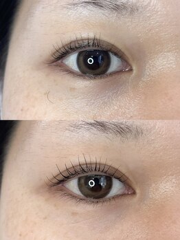 ダーム ド ローズ(Dame de rose)/【まつ毛パーマ】