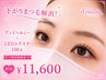 【アンドヘルシー】下がりまつ毛解消“LEDエクステ100本×まつげパーマ”