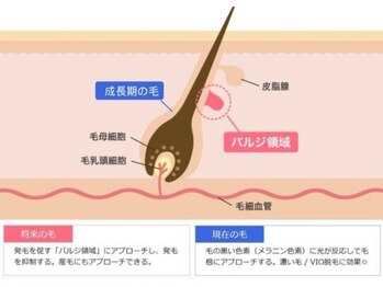 パールプラス 行橋店/サロンへの通いやすさ