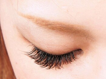 ボニート 千葉店(BONITO)/キュートデザイン　閉