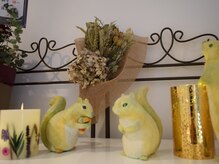 ヘイレン 表参道(Heilen)/店内には可愛いリスちゃんも☆