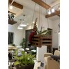 ノアズアークアンドコパセ(Noah'sArk&Copace)のお店ロゴ