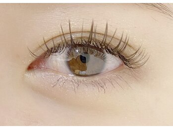 シュシュ(chou chou)/ダークモカ☆まつげエクステ