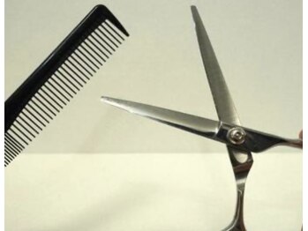 スプリング spring/