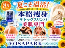 ヨサパーク クレオメ(YOSAPARK Cleome)