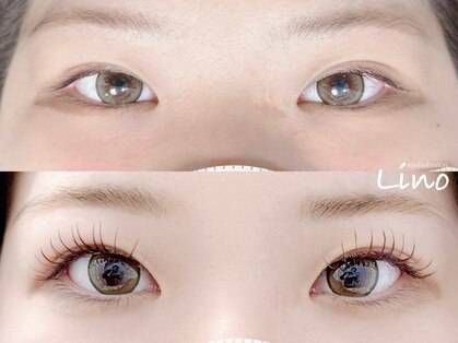 リノ(Lino)の写真