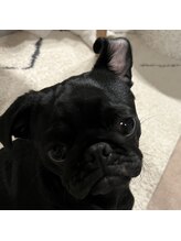 ハレ(80_hare_)&nbsp;Asakura 