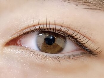 ダズル(DAZZLE)/Cカール