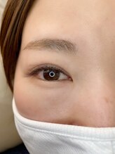 ルピナス(Lupinus)/LEDフラットラッシュ120本