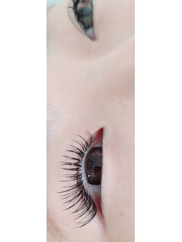 コア(Koa)/フラットつけ放題