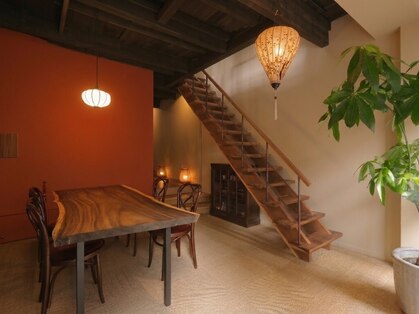 アジアンツリー(Asian tree)の写真