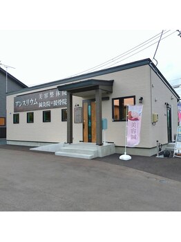 アンスリウム美容整体院 鍼灸院 接骨院/院の正面になります