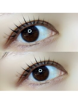 プルーム(Plume)/話題の韓国マスカラパーマ