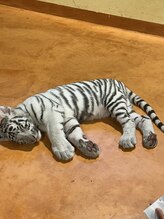 パキラ&nbsp;まごころ みすず