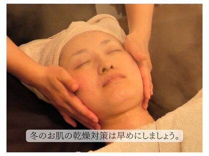 コカゲ(Kokage)の写真