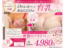 リーズリアン(Rises Lien)