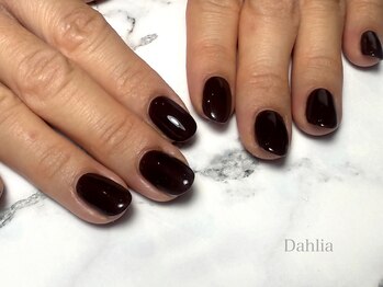 ダリア(Dahlia)/秋の深みブラウン