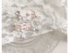 ココア(Cocoa.)の写真