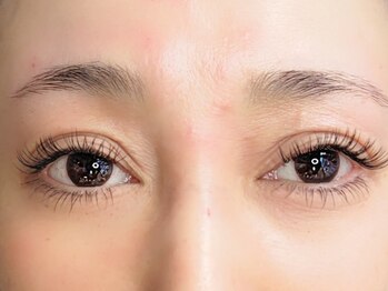 コロルアイラッシュ(color eyelash)/フラットラッシュ120本/能見台