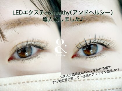 ムニ(muni)の写真