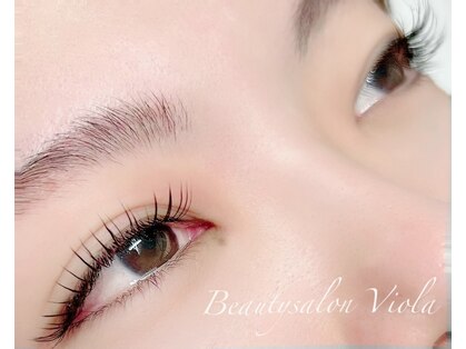 ヴィオラ(Viola)の写真