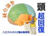 【脳疲労リセット】頭スッキリ×自律神経ケア整体（100分）￥13500