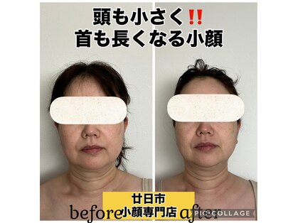 ルース(LUCE)の写真