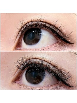 フェリーチェ(Felice)/華やかデザイン(フラット)