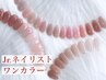【Jrネイリスト限定】ハンドワンカラー/付替オフ無料¥6000→