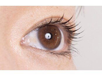 ジェリービーンズ(Jelly Beans)/緩めラッシュリフトもオススメ