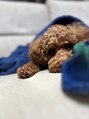 ブルームーン(Blue Moon)&nbsp;愛犬に振り回され癒され…