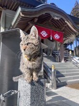 阿吽の呼吸 Beenie