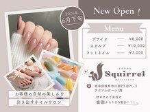 Squirrel【ワンカラー/ラメグラ/マグネット/スカルプ】