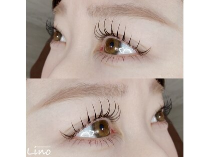 リノ(Lino)の写真