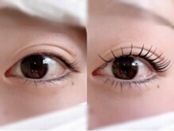 アネラ(ANELA)の写真/【フラットラッシュ/最高級セーブル/3Dボリュームラッシュ】高品質商材を多数取扱い★理想の目元を実現!