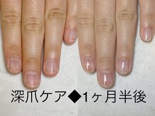 レヴィア(Revia)/