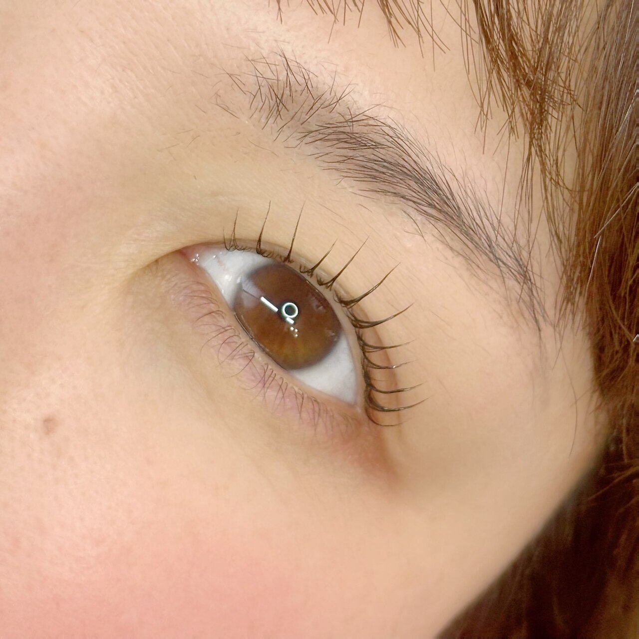 クーポン・メニュー｜ルナ アンド ツミキ(Luna & tsumiki