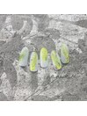 [季節限定]ニュアンスデザイン