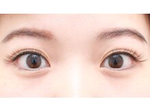 フェリチタ(FELICITA)/フレアラッシュ200本