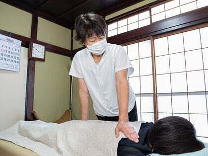 癒しの森の写真