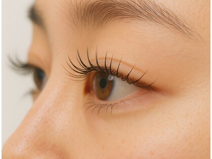 ヴィフ(vif)の写真