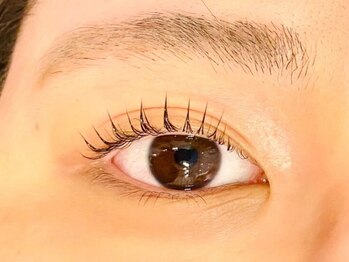 イルファ ビューティー(ehl fa Beauty)/パリジェンヌラッシュ 宮尾