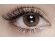 ファーストネイルアンドアイラッシュ(1st NAIL&eyelash)の写真/【バインドロック】持続力×束感のあるボリューム重視の方にオススメ♪自まつげを上下からエクステで挟む★