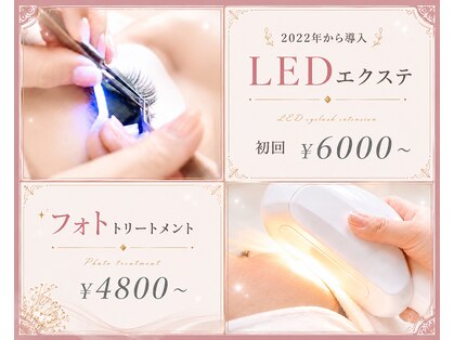 シュシュ(Chouchou)の写真