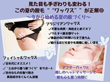 アンビー(Ann-Bee)