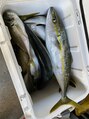 美人バスト 辻堂店&nbsp;魚が好きで釣りが趣味です！捌くのも得意になってきました！