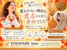 ヨサパーク アモ(YOSA PARK Amo)
