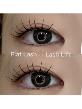 サラ(Sala)/フラットラッシュ120本