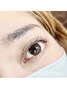 ヴィクーニャ(VICUNA)/カラーエクステ